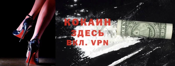 гашик Мегион