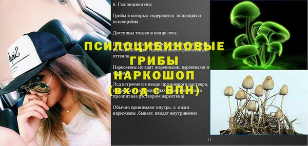 герыч Снежногорск