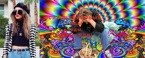 синтетический гашиш Белокуриха