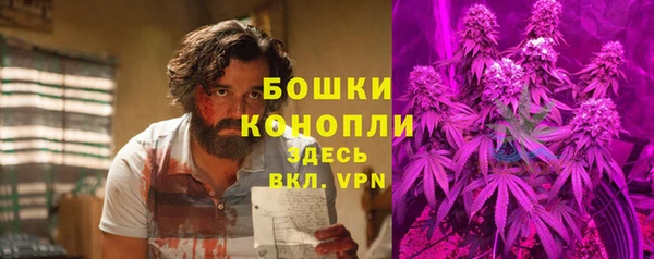 гашик Мегион