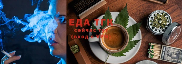 гашик Мегион
