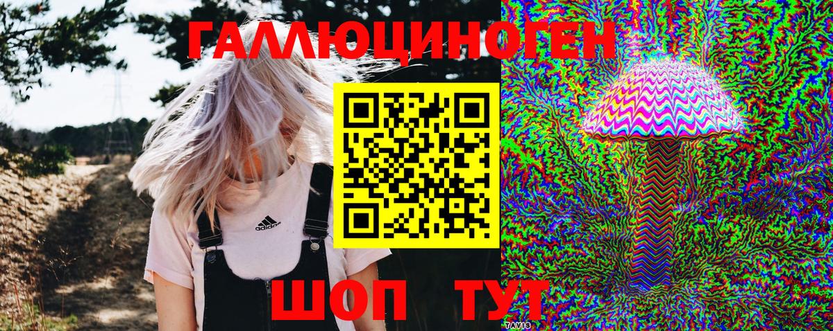 Галлюциногенные грибы Psilocybe Белорецк