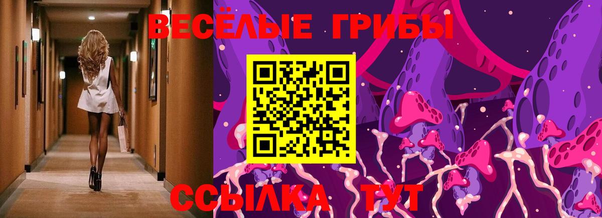 Галлюциногенные грибы Magic Shrooms  Галлюциногенные грибы Psilocybe  Белорецк  Вход с VPN 