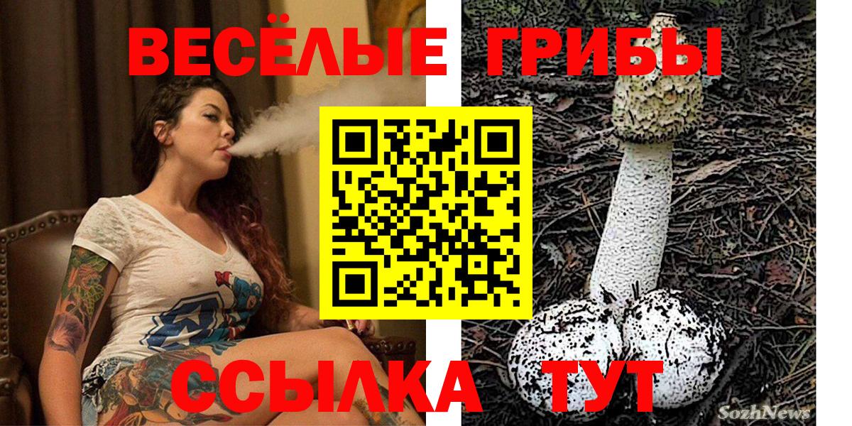 Псилоцибиновые грибы ЛСД  Галлюциногенные грибы MAGIC MUSHROOMS  Белорецк 